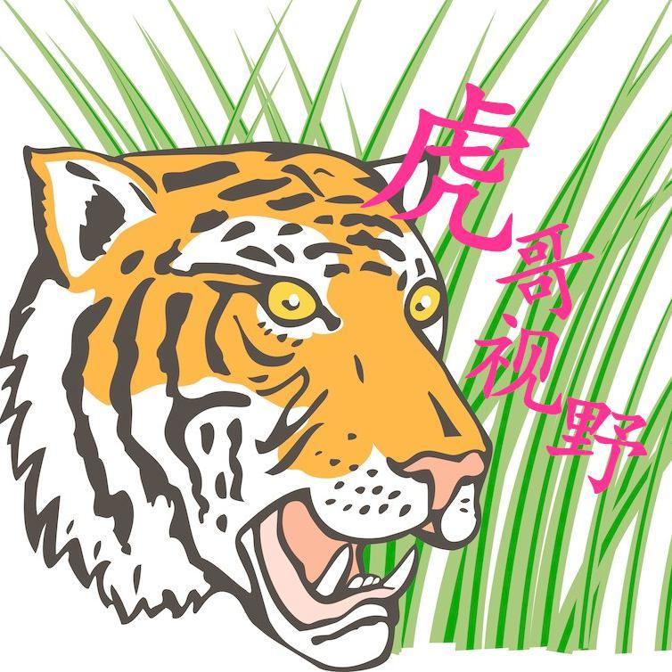 虎哥视野头像