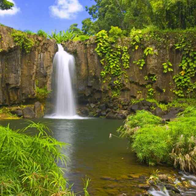 李聪(骆驼)头像