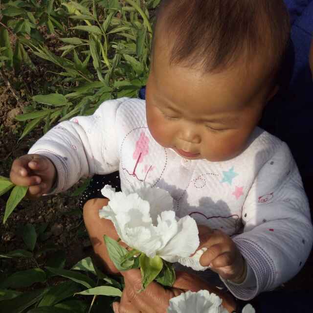 茹茹908头像