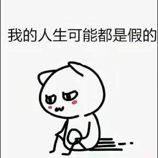 我的人生可能是假的头像