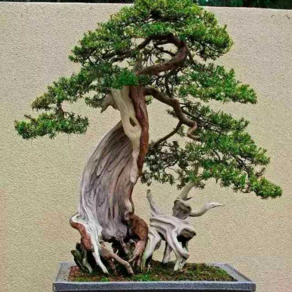 太阳每天新的头像
