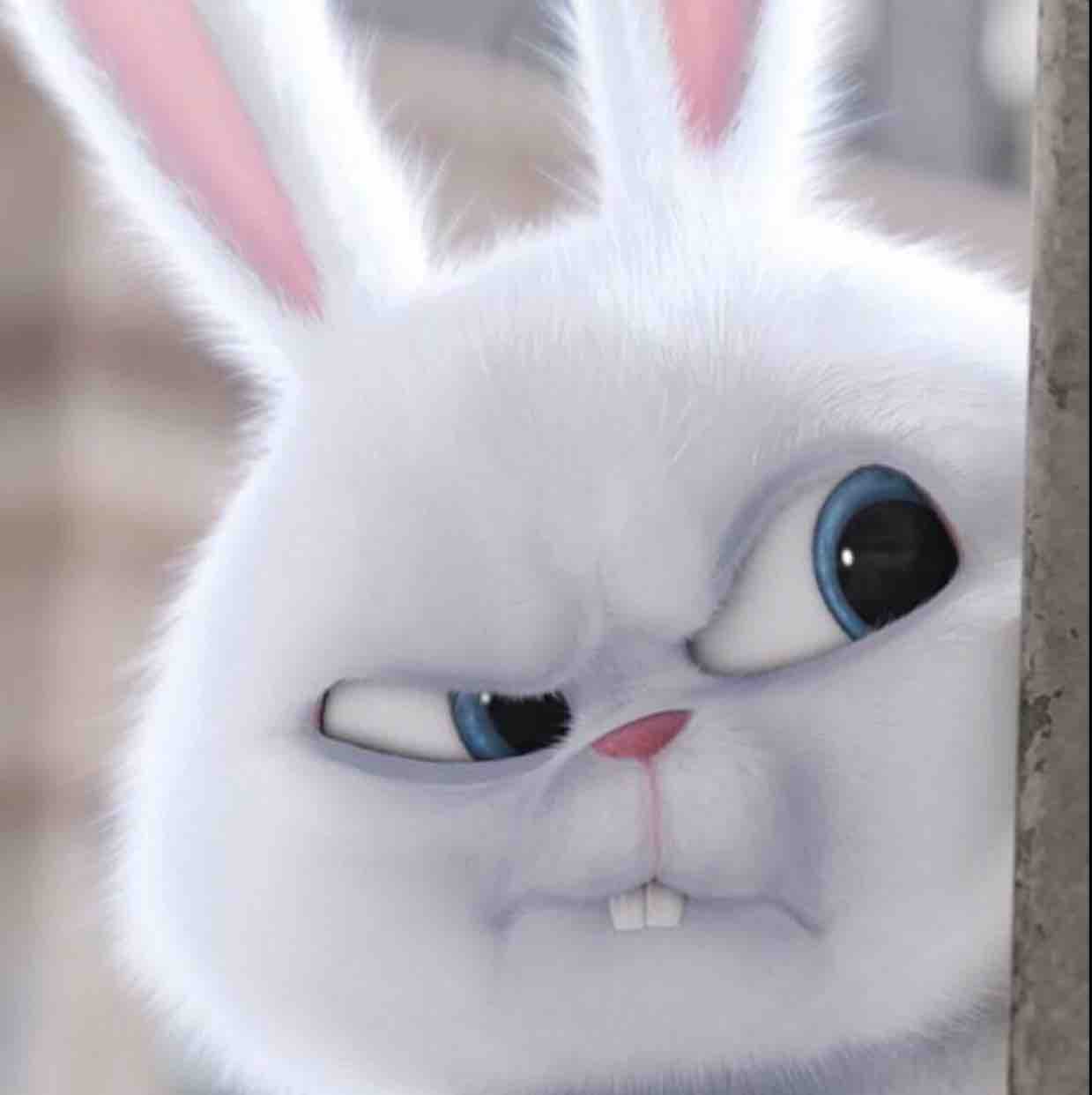 漫步云端qq头像