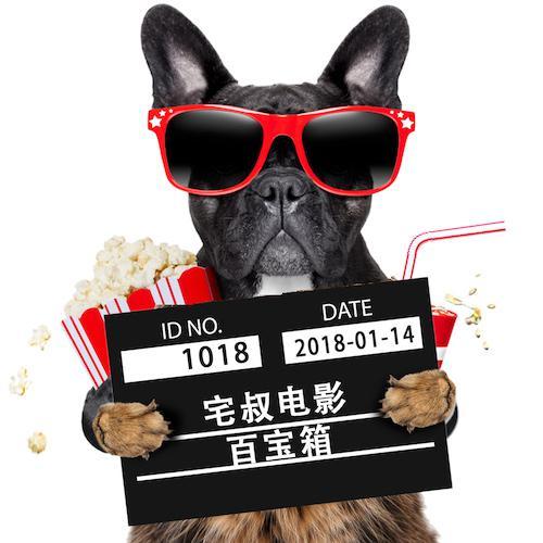 宅叔电影百宝箱头像