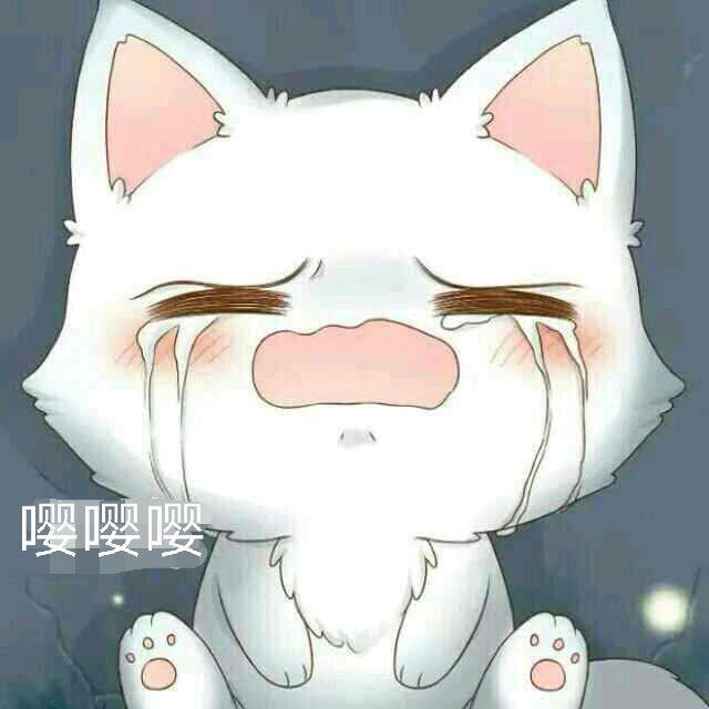 MM快乐影视头像