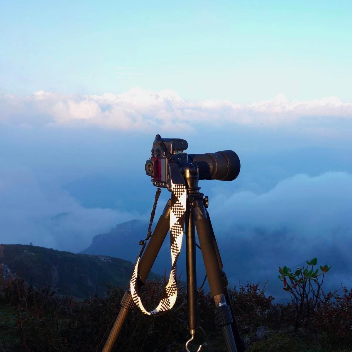 旅游自由行jj头像