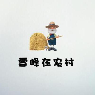 雪峰在农村头像