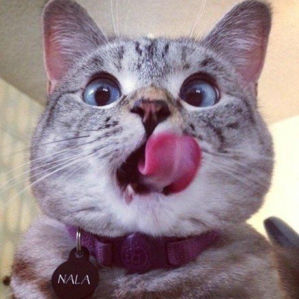 七友杂货铺头像
