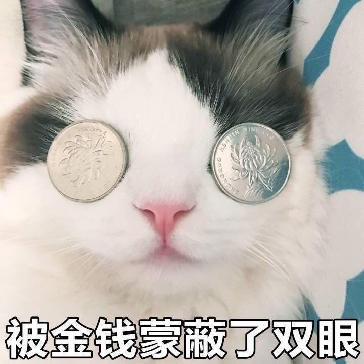 欢乐影视cut头像