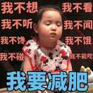 陶子头像