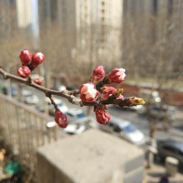 环保先锋365头像