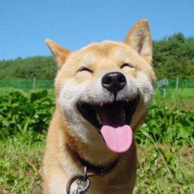 炽舞头像