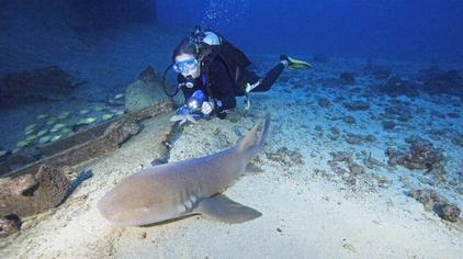 韩国鱼鳃呼吸器 西瓜视频