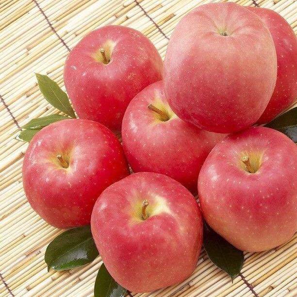 七个苹果1oo1头像