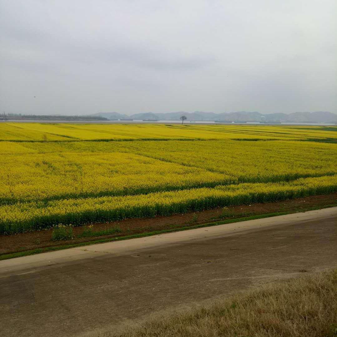 浙江省江山市蜂农头像