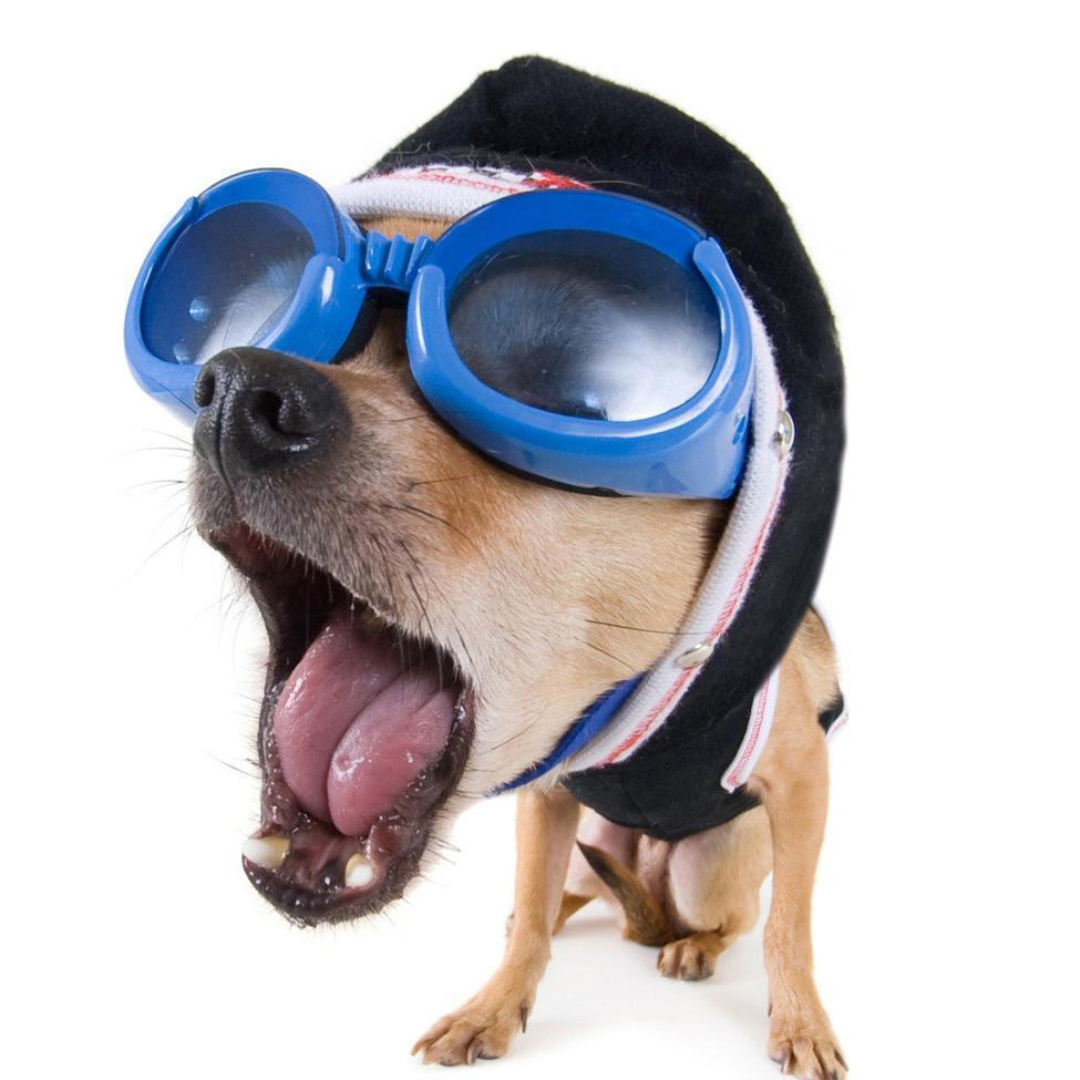 色即是空韩剧国语2 西瓜视频