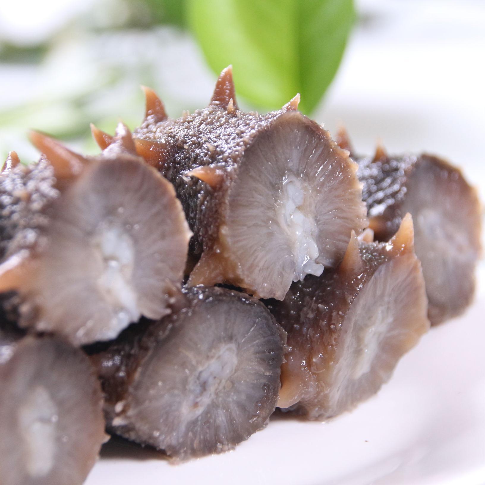 海参大学士头像