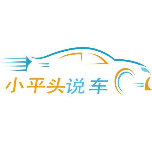 小平头说车头像