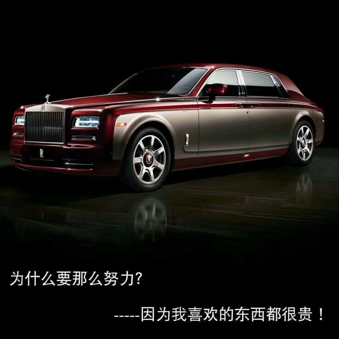 大容牛头像