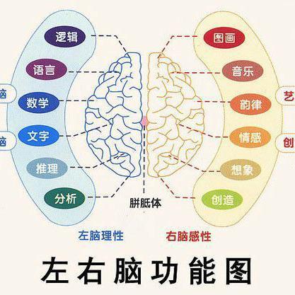 全脑应用学堂头像