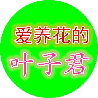 爱养花的叶子君头像