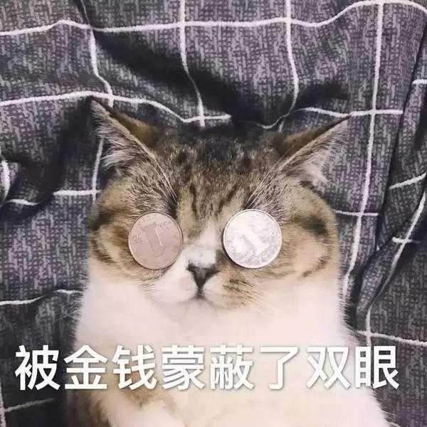 但丁在吸猫头像