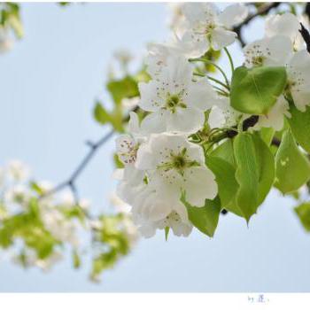 热闹豆花aER头像