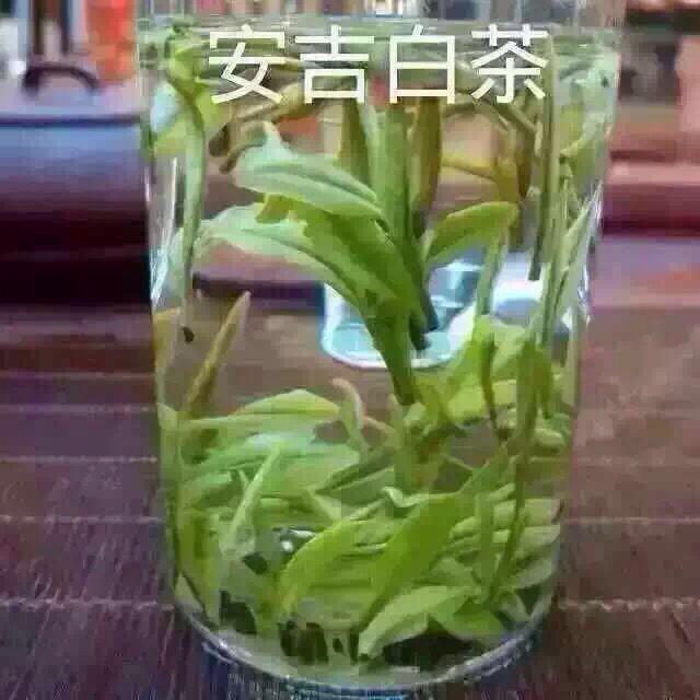 yy哦哦吗头像