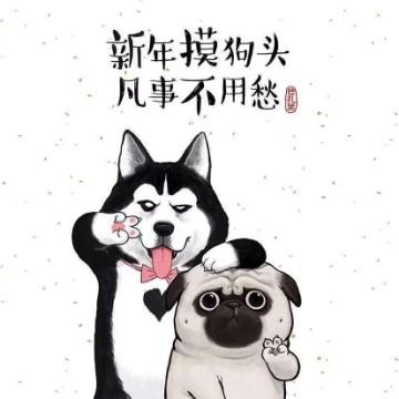 一葉知秋13145头像