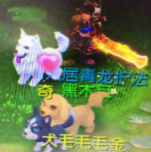 真像吖头像