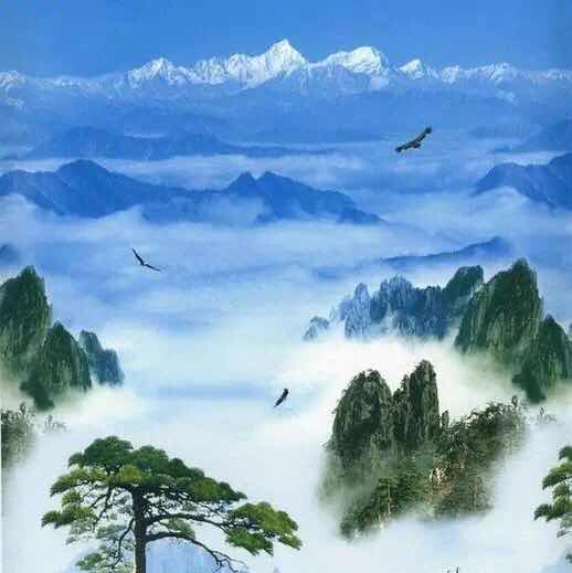 风云天下6022头像