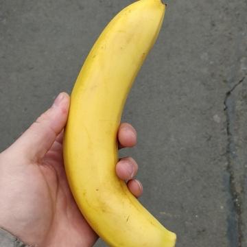 全东北少女的梦头像
