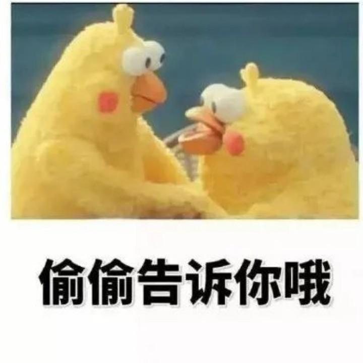 琳儿头像