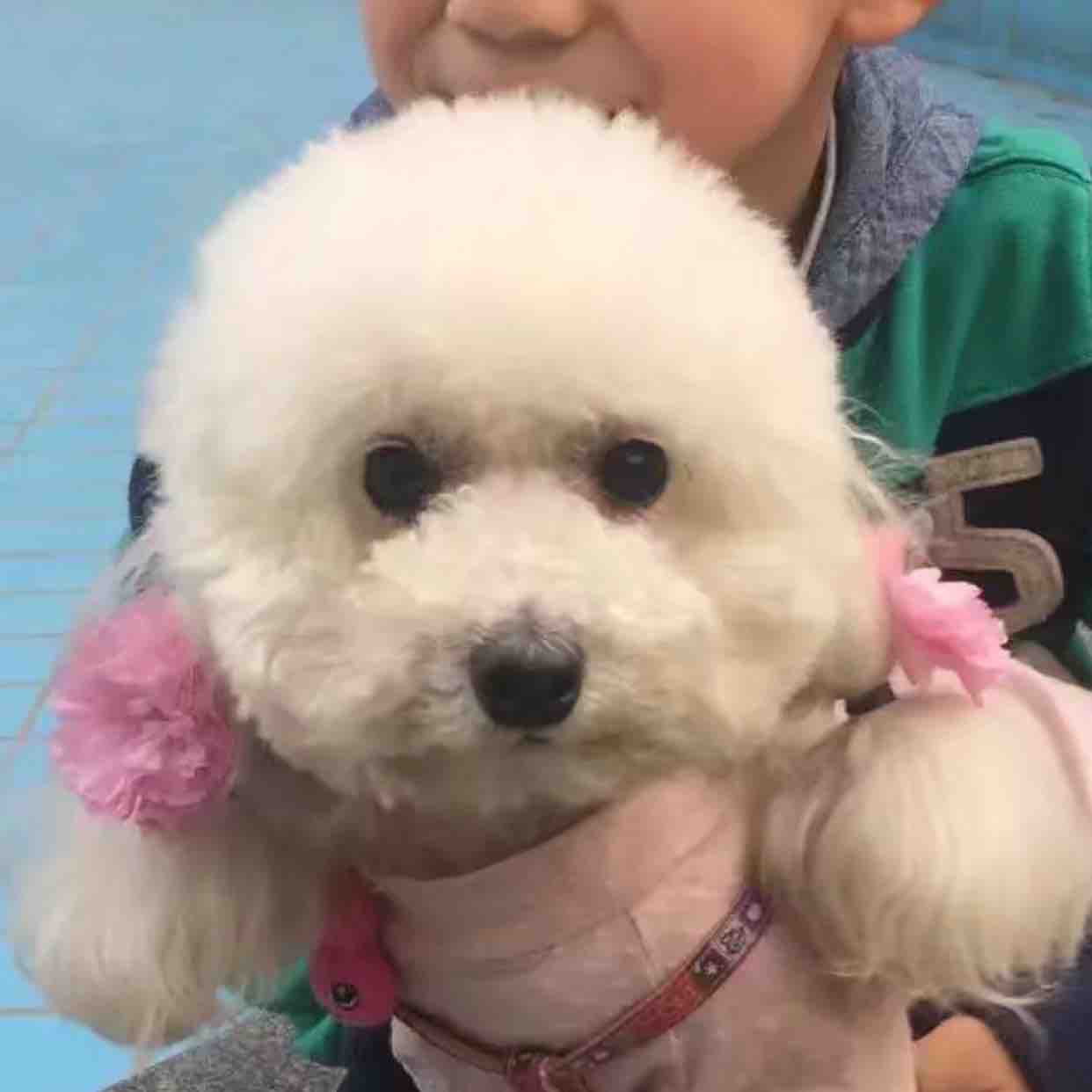社会观测头像