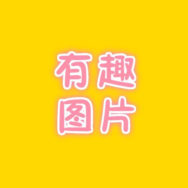 有趣图片头像