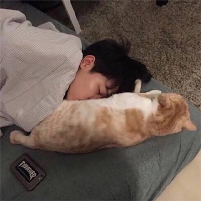 老公与狗不忍直视头像