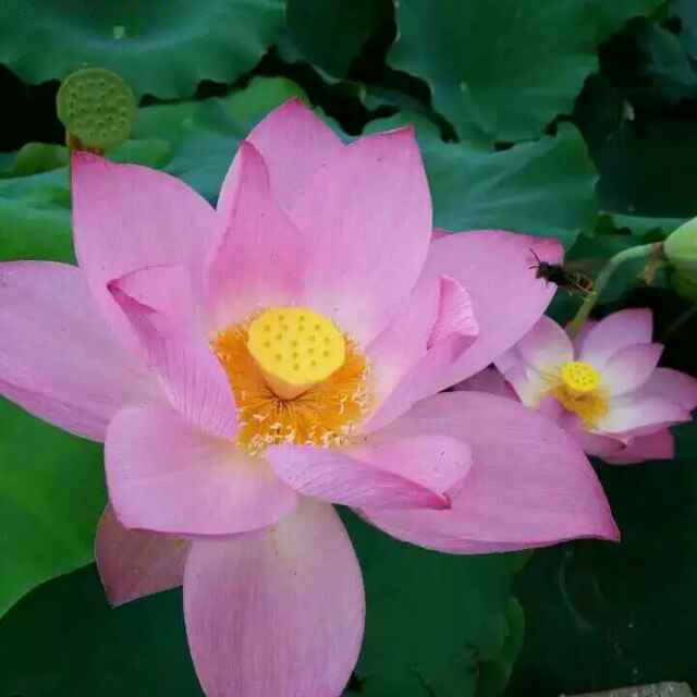 百合410926关注2粉丝11获赞ta还没有发布过任何视频