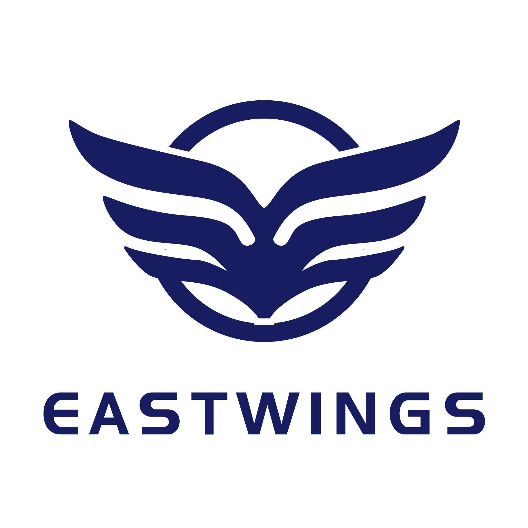 东翼航空工业无人机