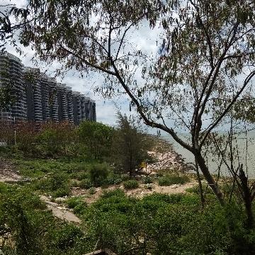 小坤361头像