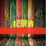 纪录片的世界头像