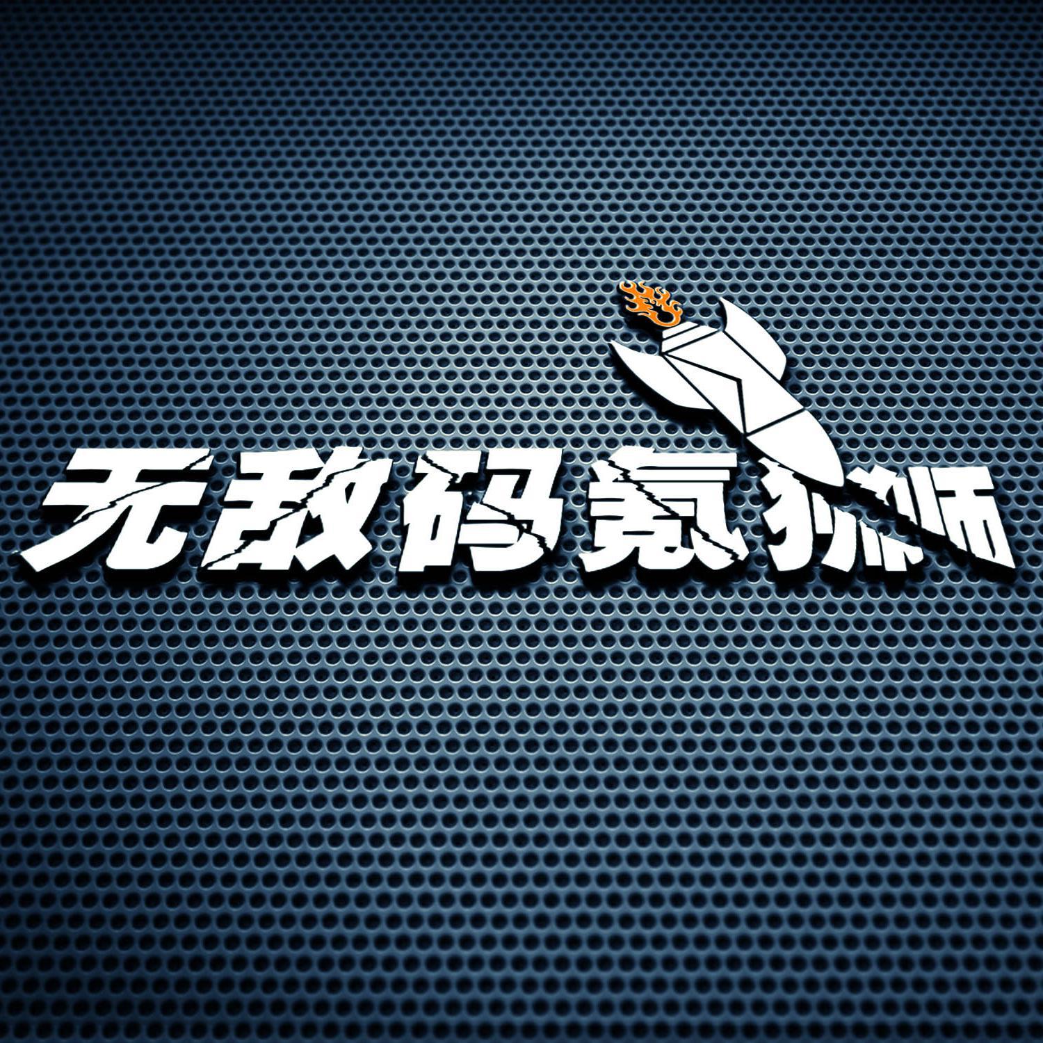 无敌码氪狮头像