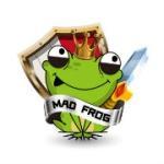 疯蛙MadFroger头像