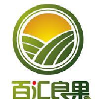 百汇良果头像