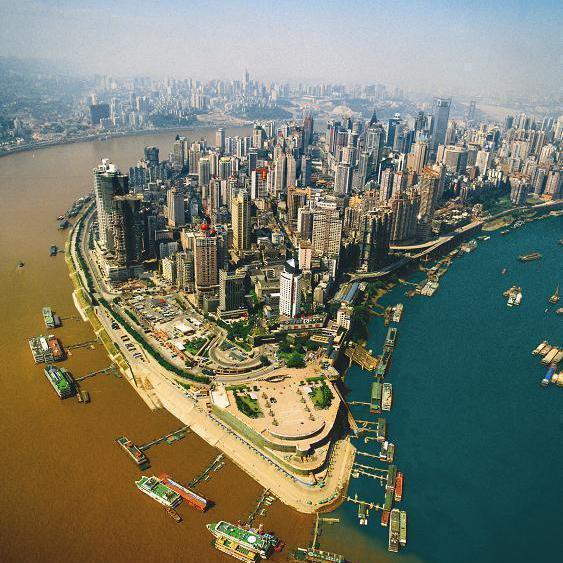 彬哥在重庆头像