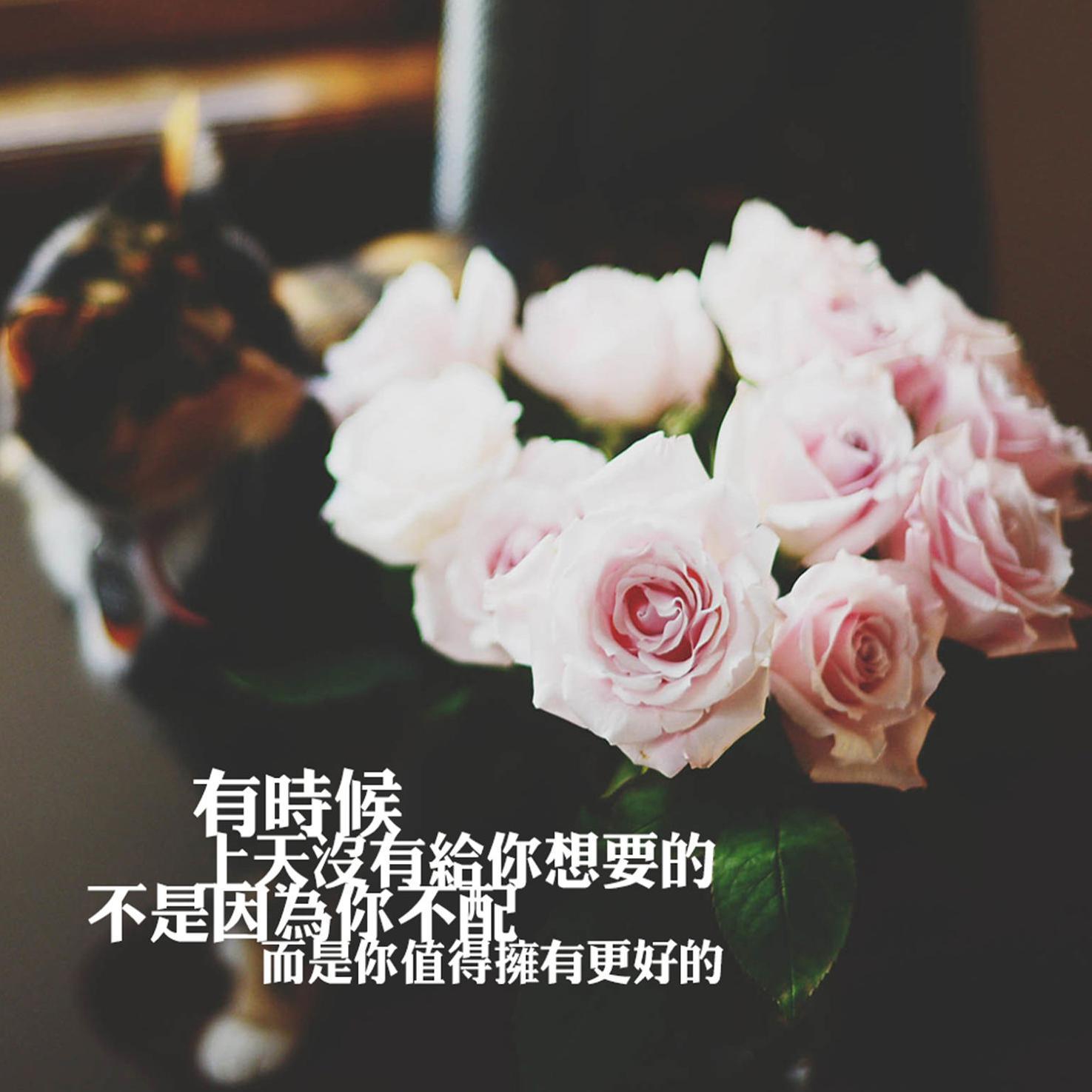 舞蹈和影视作品集头像