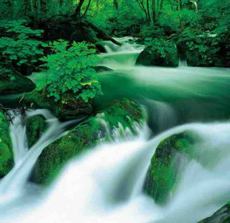 高山流水头像