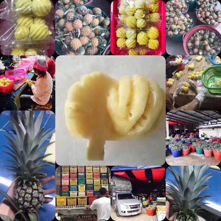 山水情果蔬农业合作社头像