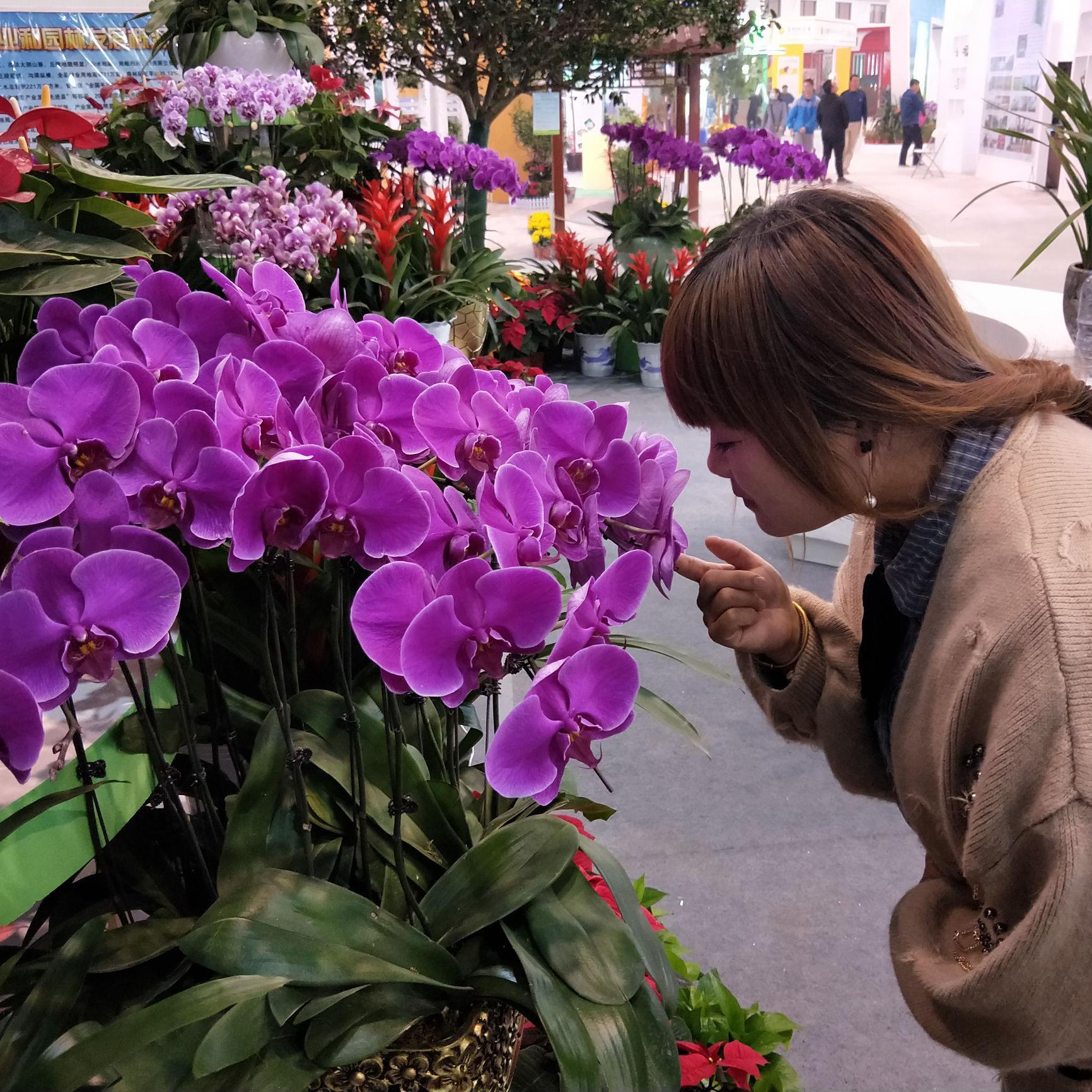 芳飛心情头像