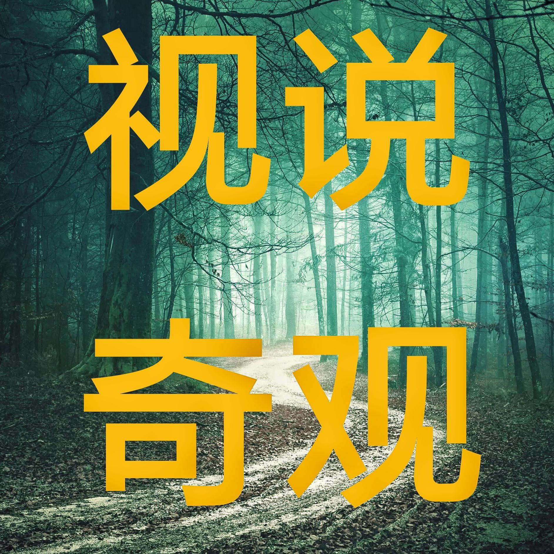视说奇观头像