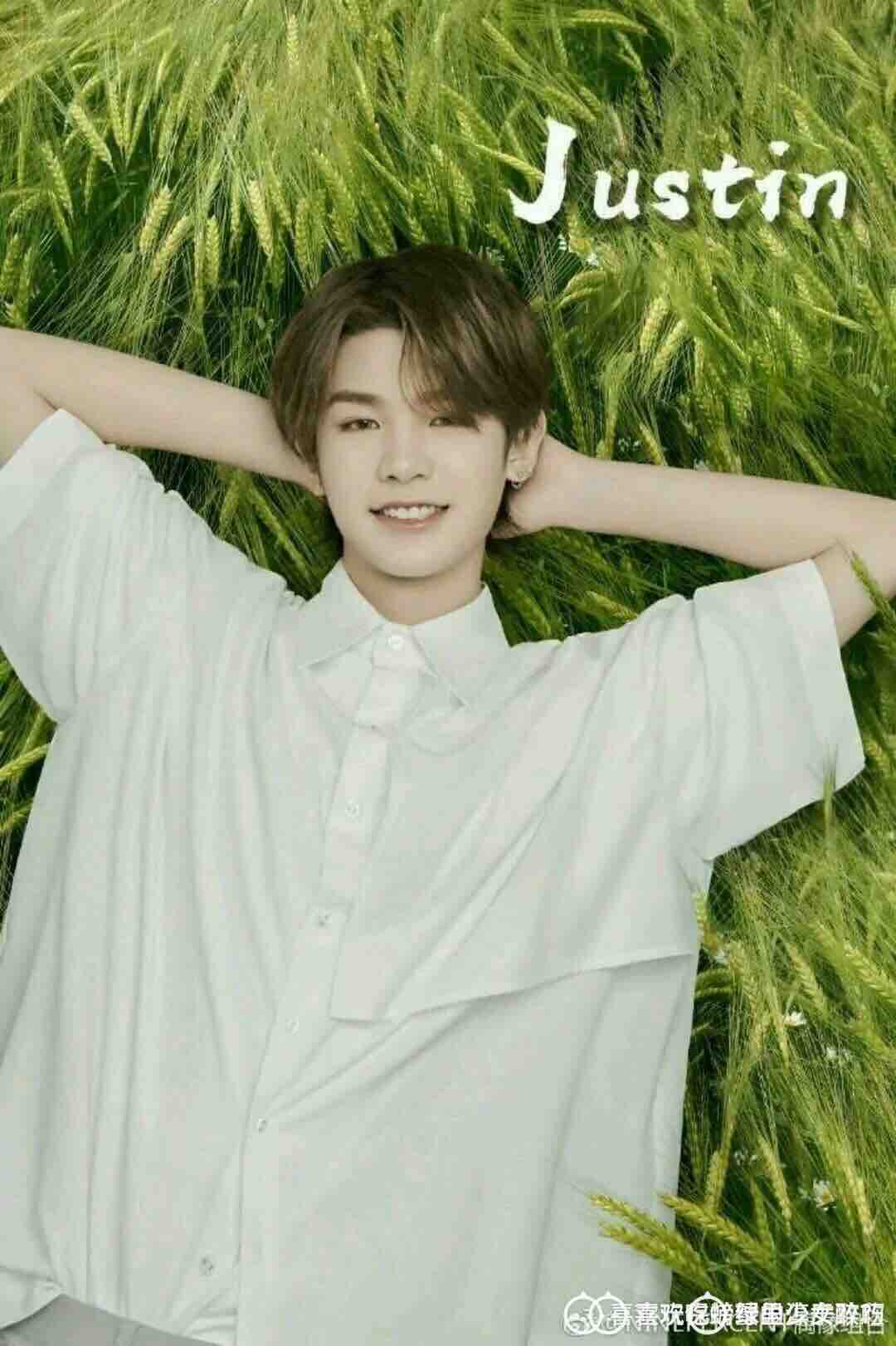 justin贾富贵的小宝贝