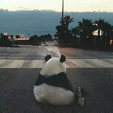 麻瓜吖丶头像